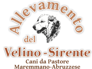 Del velino sirente