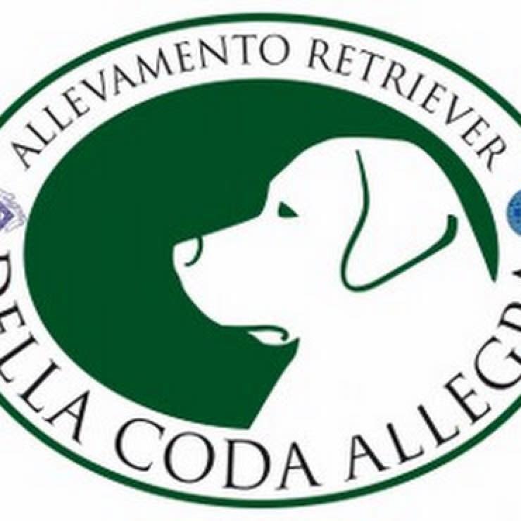 Della coda allegra