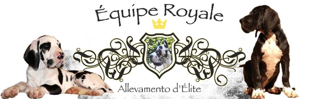 D’equipe royale