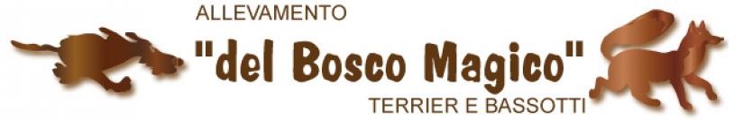 Del bosco magico