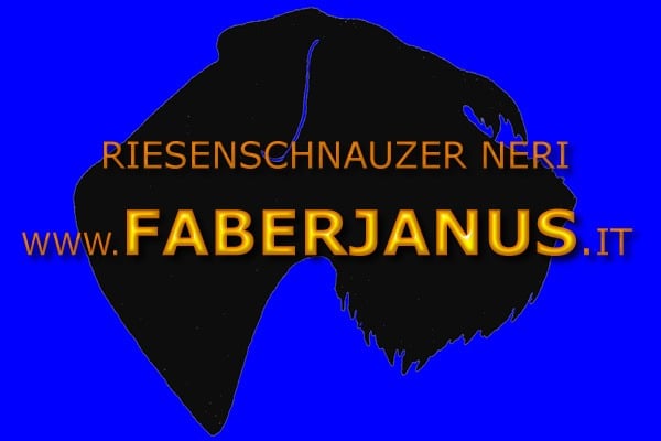 Faberjanus