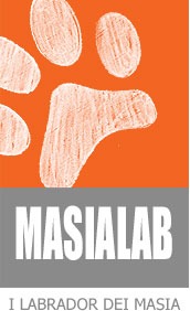 Masialab