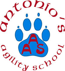 Antonio’s Agility School A.D.