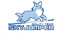 Sky Jumper Agility Team